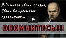 ОСУЖДЕНИЕ. Тарас Шевченко — Мы чванные, пустые люди