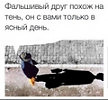 День прощания друзей