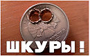 Шкуры