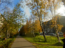 СНОВА ЭПИГРАФ