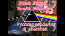 Pink Floyd - Brain Damage RUS