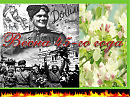 Шумел сурово брянский лес
