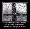Дождливый мир