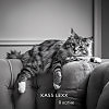 Kass Lexx - Я котик