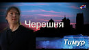 Тимур -Черешня