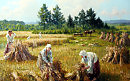 Полюшко хлебное (муз.Т.Макарова, ст.С.Панасенкова)