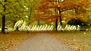 Осенний блюз.