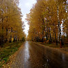 Осень придёт