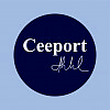 To Come Out of Distortion (CEEPORT) (2012)
