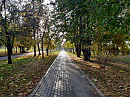 В осеннем парке