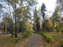 Золотая осень