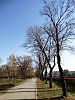 Улица Труда