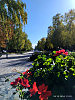 Осенний бульвар