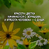 Расходняк.