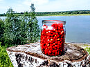 Родинки урмана