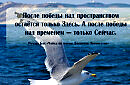 Жизнь как птица