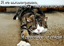 Ниндзя.