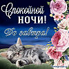 Спокойной ночи