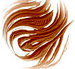 Wind of Change \ 