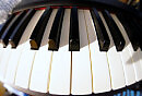 SOUNDSCAPE