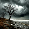 Craving Storm
