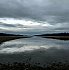 Gray Horizon